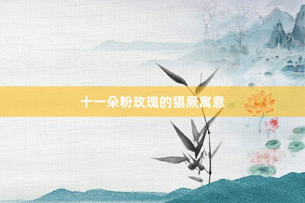 十一朵粉玫瑰的猖厥寓意